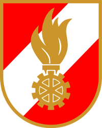 FFS Logo